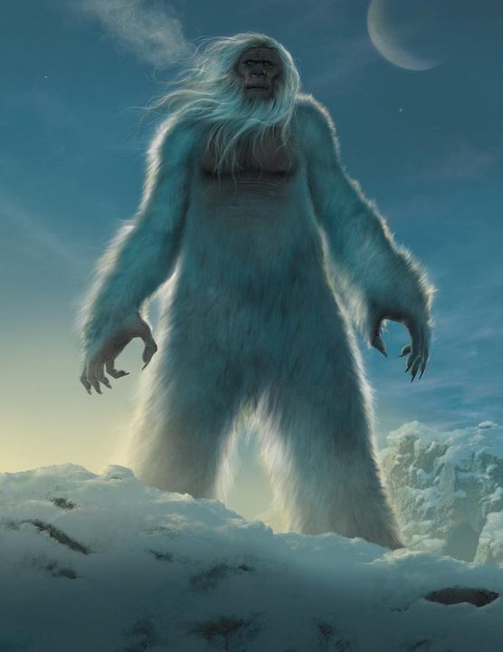 yeti